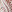 Ece Sükan X Koton - Long Sleeve Lace Midi Dress