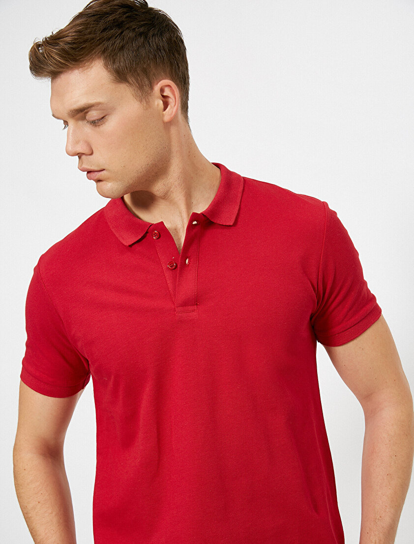 Polo Yaka Kısa Kollu Slim Fit Basic Tişört
