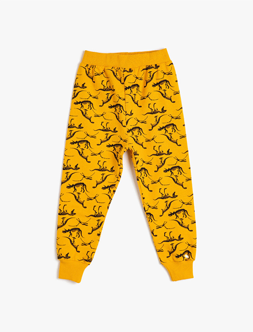 Pamuklu Dinozor Baskılı Eşofman Altı