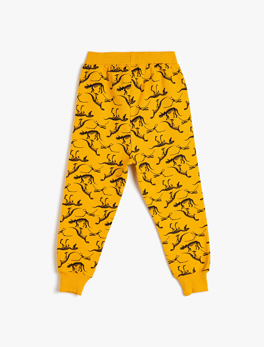 Pamuklu Dinozor Baskılı Eşofman Altı