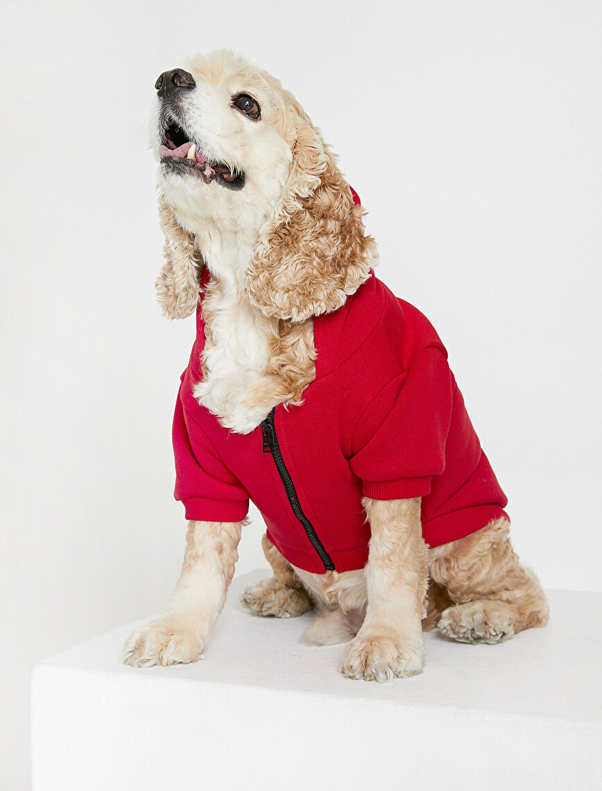 Red Women Koton Love Dog Sweatshirt 0kal18328ik445 Koton
