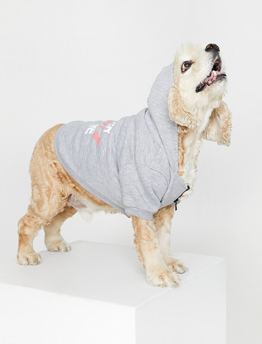 Gri Bayan Kapüşonlu Köpek Sweatshirt 0KAL18329IK027 Koton