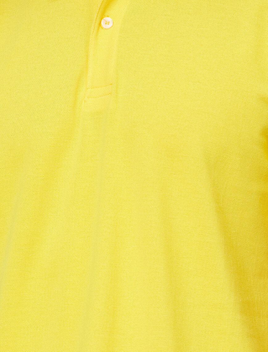 Polo Yaka Kol ve Yaka Ucu Çizgili Slim Fit Tişört