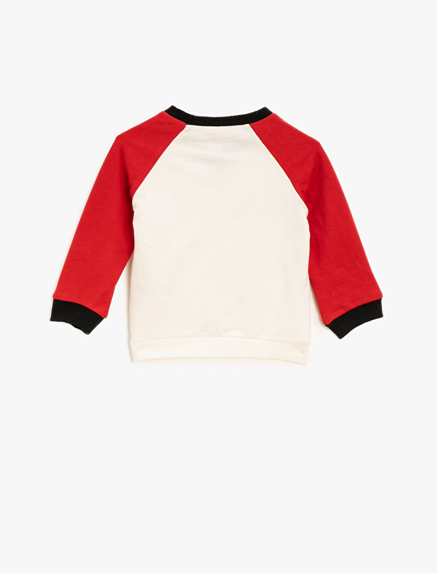 1001 Dalmatian Licensed Printed Crew Neck Cotton Sweatshirt