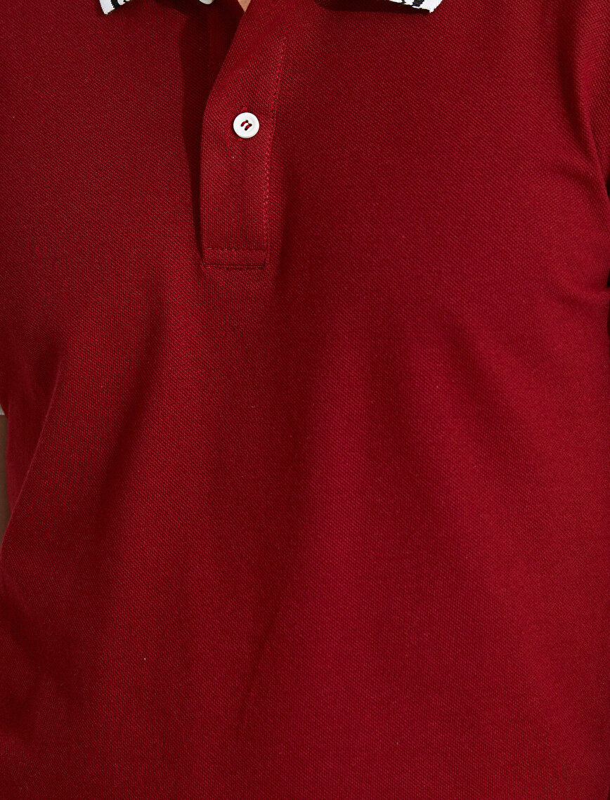 Polo Yaka Tişört Şerit Detaylı Pamuklu