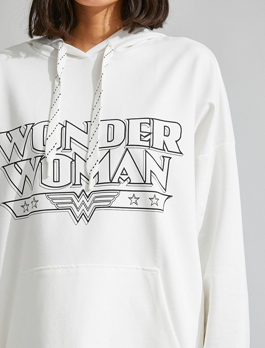 Warner Bross Licensed Hoddie Printed Sweatshirt