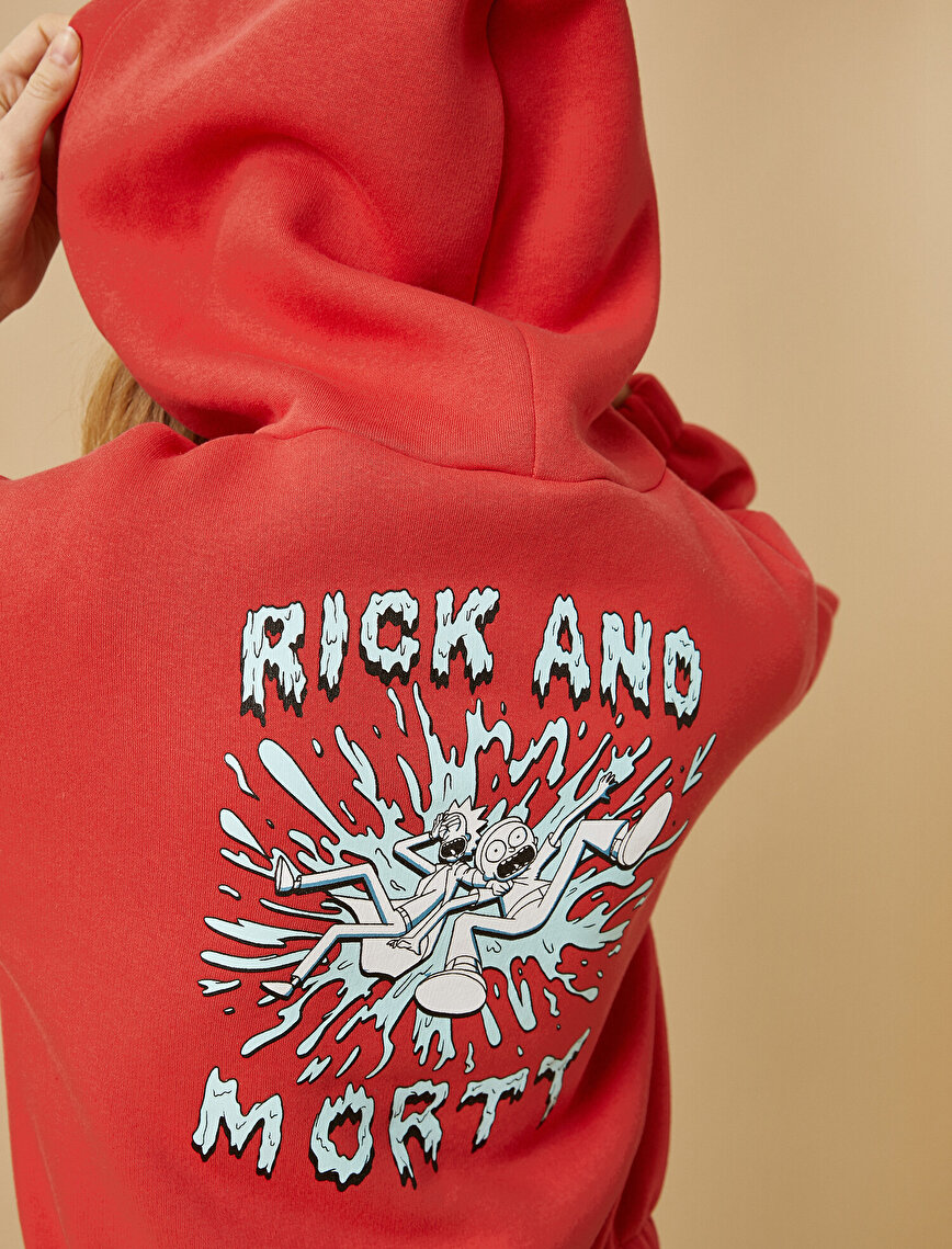 Rick and Morty Licensed Hoodie Printed Sweatshirt