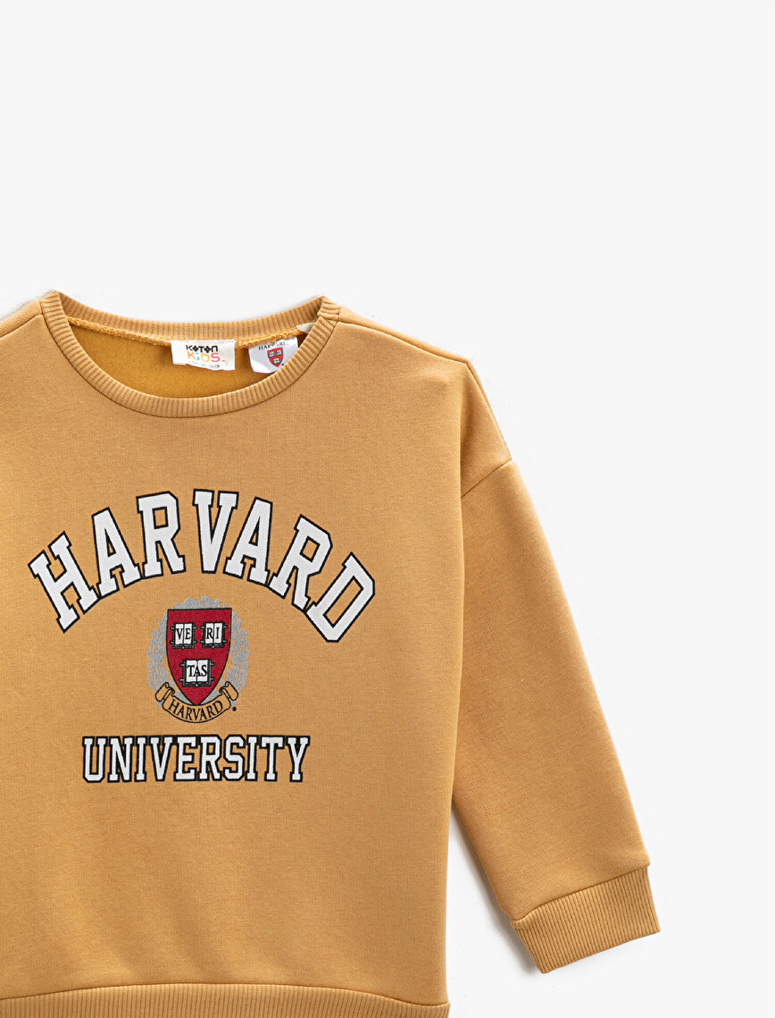 Harvard University Licensed Printed Sweatshirt Cotton