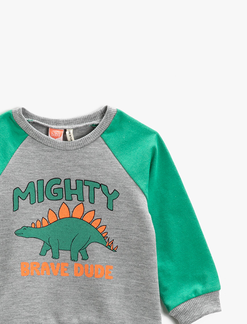 Dinosaur Printed Sweatshirt Crew Neck